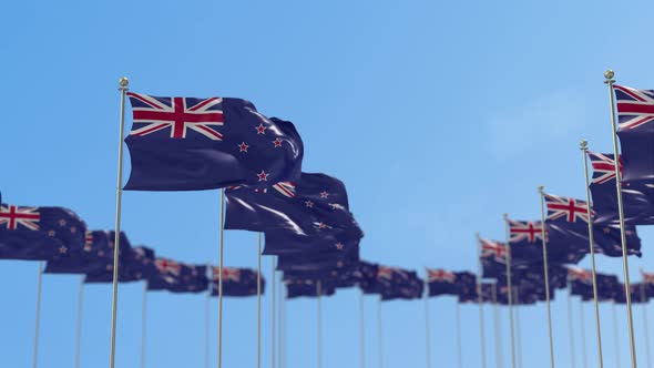 New Zealand Row Of Flags Animation