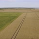 Aerial Video Of Green And Yellow Fields In The Summer - VideoHive Item for Sale