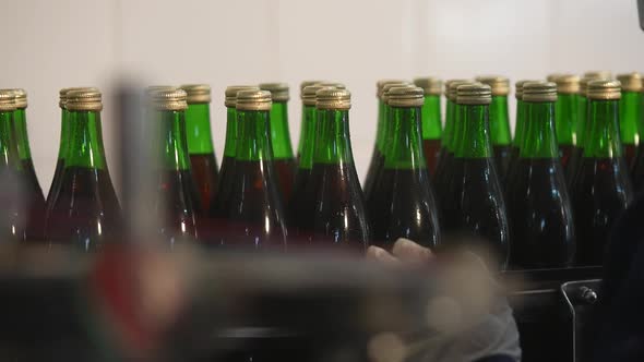 Process of Bottling Beverages on Drinks Production Soft Drinks Lemonade Beer in Glass Bottles on