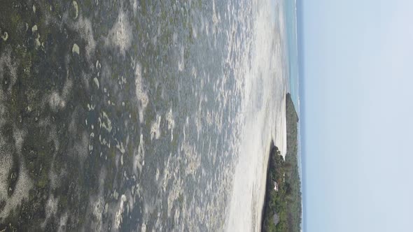 Zanzibar Tanzania  Vertical Video of Low Tide in the Ocean Near the Coast Slow Motion