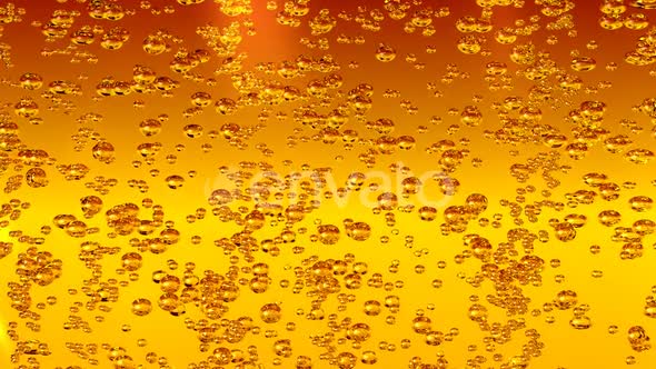 Beer Bubbles