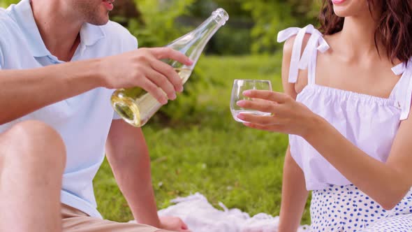 Happy Couple with Wine Having Picnic at Park