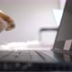 Funny Maine Coon Cat Working at the Computer Typing on Notebook - VideoHive Item for Sale