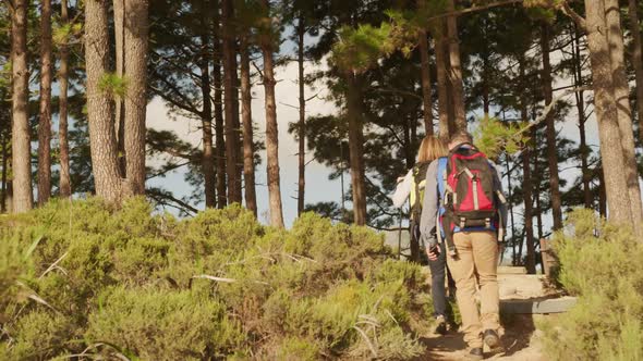 Active senior couple hiking in forest