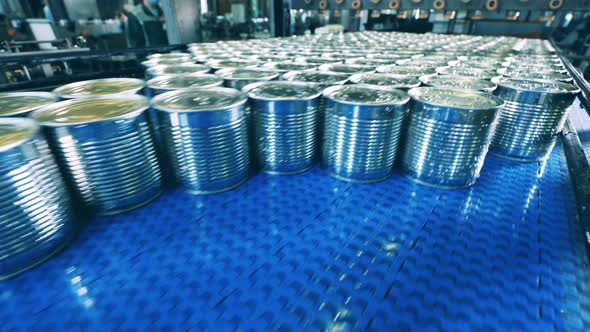 Batches of Sealed Tin Cans Are Moving Along the Conveyor Belt