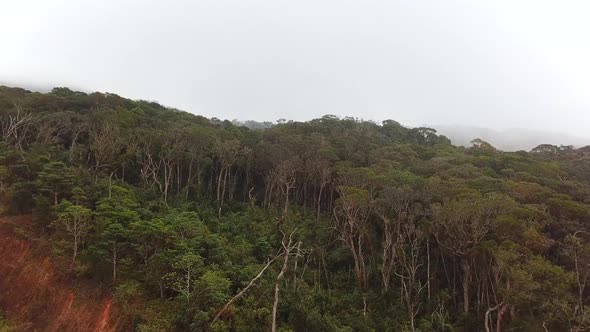 Winding Mountain Road near Misty Rainforest Trees, Drone View.