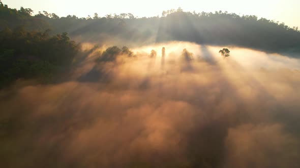 The rays of the sun shine through the clouds into the misty above the mountains in the morning