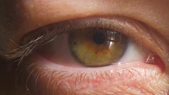 Extreme close up of human green eye iris in 4K video.