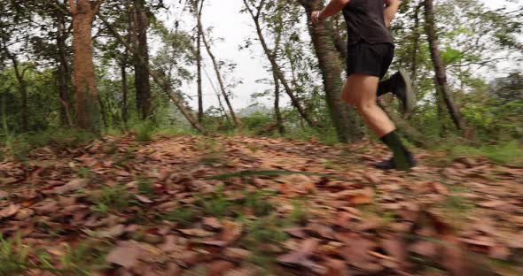 Woman runner running on forest trail, slow motion
