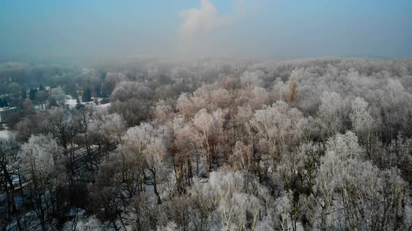 Flight over frosted forest
