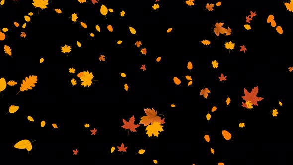 Autumn Leaves Overlays