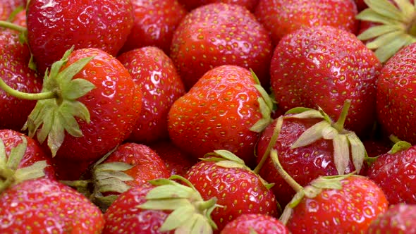 Juicy Red Ripe Organic Strawberries