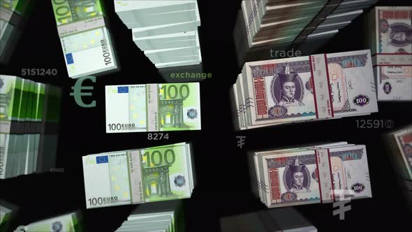 Euro and Mongolia Togrog money exchange loop
