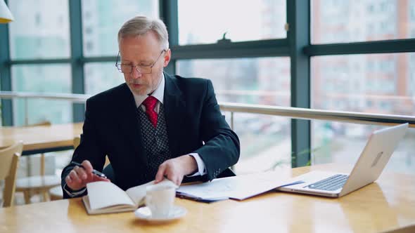 Smart mature businessman working in the office