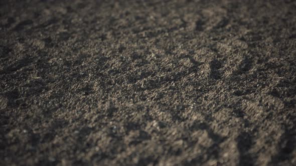 Close up of black soil background.