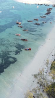 Tanzania  Vertical Video of the Ocean Near the Coast of Zanzibar Slow Motion