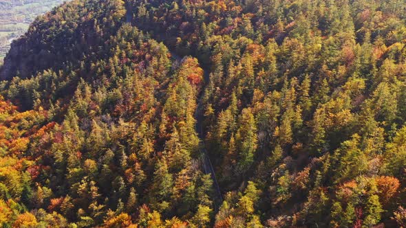 Aerial View of Beautiful Autumn Forest Colored Autumn Colors Trees Mountain Range in Background