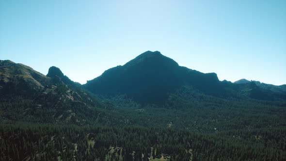 Panorama of Cone Forest at Mountains