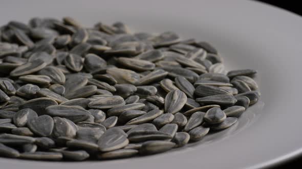 Cinematic, rotating shot of sunflower seeds on a white surface - SUNFLOWER SEEDS 017