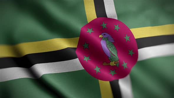 Dominica Flag Textured Waving Close Up Background HD