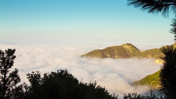 Fog Covering Los Angeles