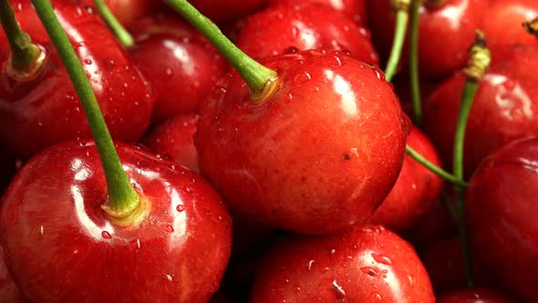 Ripe Sweet Cherry Ready For Use