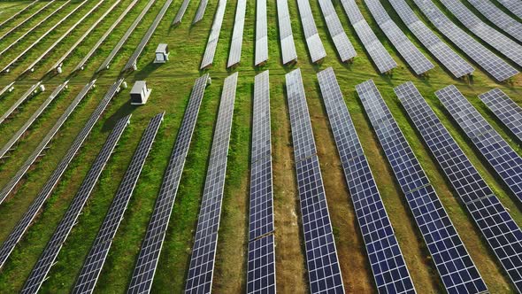 Rows of farm solar panels in the field