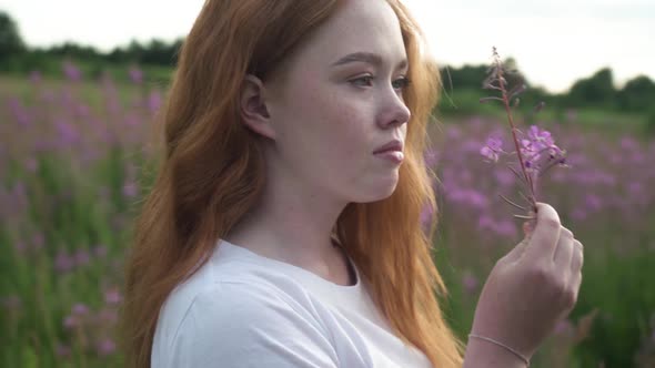 The Girl Picks Up and Carefully Examines a Wildflower in a Summer Meadow