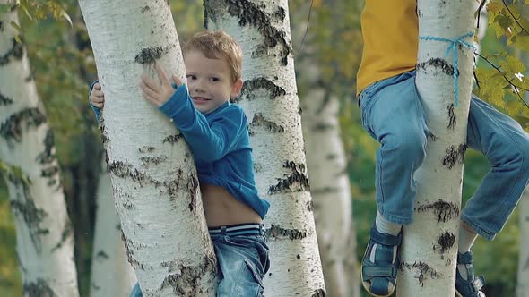 Children Try To Safely Get Off the Trees