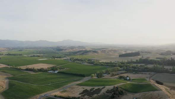 Aerial shot looking at vineyards in the heart of Marlborough, covered in Sauvignon Blanc