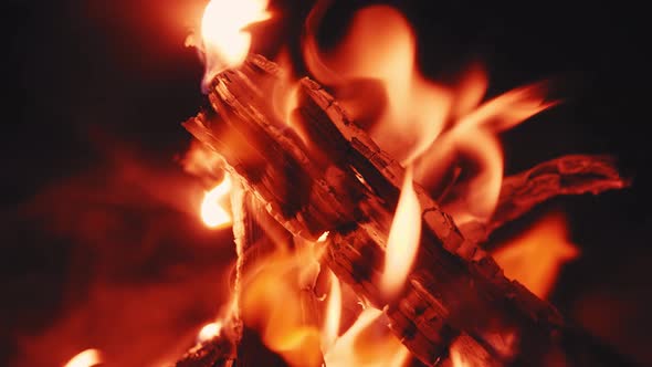 Smoldering Tree in Beautiful Bonfire