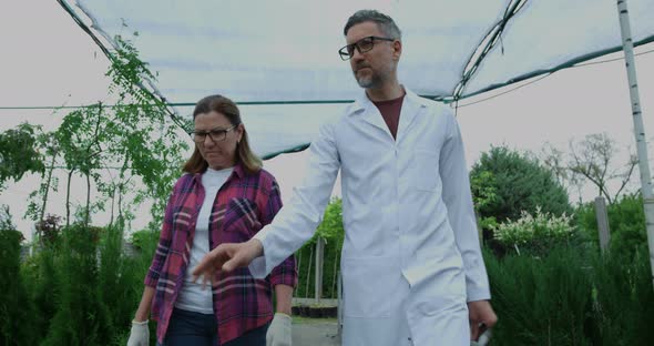 Gardeners Walking in Nursery Garden