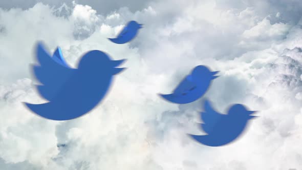 3 Twitter bird flying transition