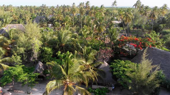 Aerial View African Tropical Beach Resort ThatchedRoof Hotels Pools Zanzibar