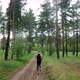 Running in the forest - VideoHive Item for Sale