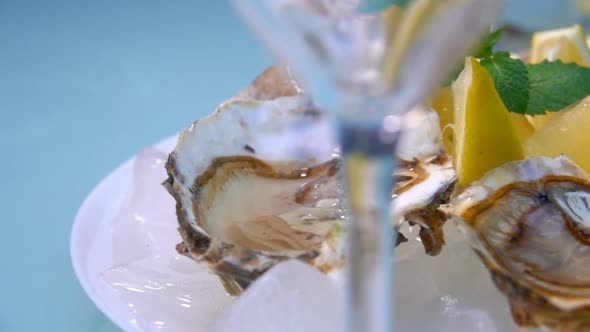 Closeup Panorama of the White Plate Full of Fresh Open Delicious Oysters on Ice