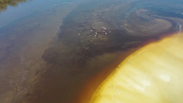 Amazon river scene landscape. Scenic amazon rainforest natural forest.