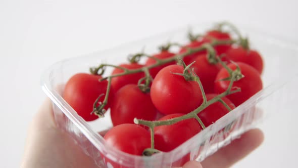 Branch with Lots of Growing Cherry Tomatoes on the Organic Plantation Closeup View