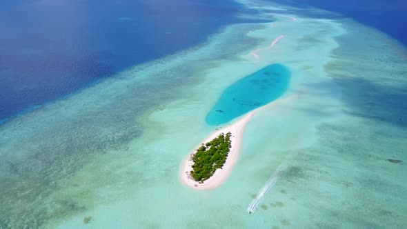 Aerial nature of lagoon beach wildlife by blue water with sand background