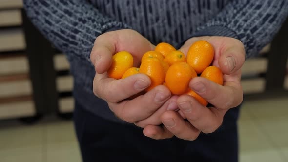 Closeup of a Man's Hands with a Kumquat in an Exotic Fruit Grocery Store