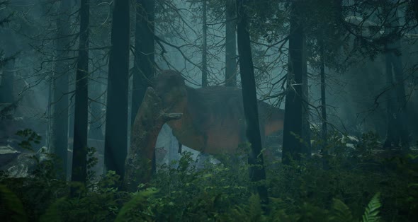 Tyrannosaurus Walks Through the Jurassic Jungle The Age of Dinosaurs Trex on the Hunt 3D Rendering