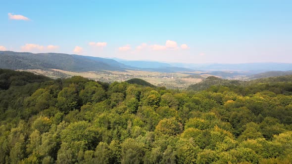 Aerial View of Mountain Hills Covered with Dense Green Lush Woods on Bright Summer Day