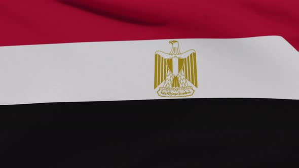 Flag Egypt Patriotism National Freedom Seamless Loop