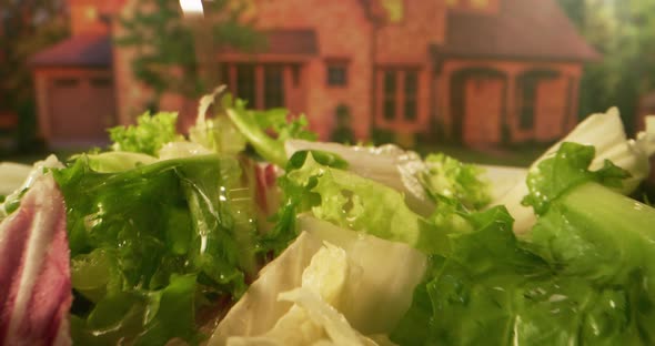 Fresh Salad on Rotating Plate