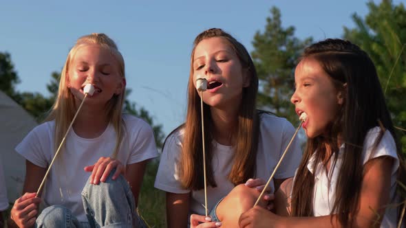 A Group of Children on a Picnic They Fry Marshmallows By the Fire and Have Fun at a Summer Camp