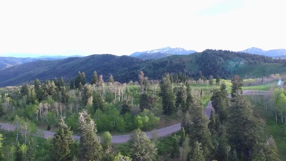 Aerial view of a vast forest in the mountains on a beautiful summer day while flying over a lonely m