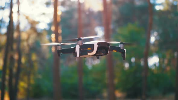 Drone with a Camera Hovers in the Air. Flies Above the Ground in the Forest. Slow Motion