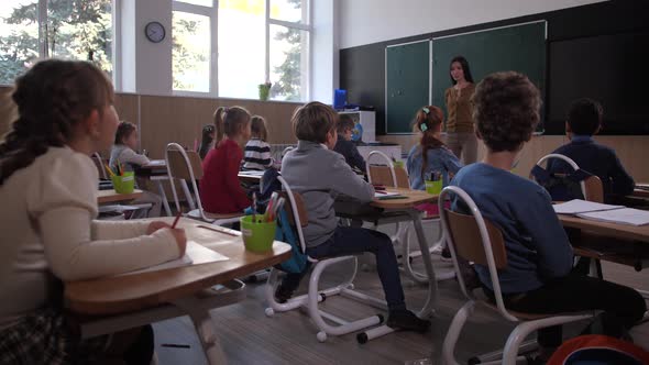 Diverse Primary School Students Listening Teacher