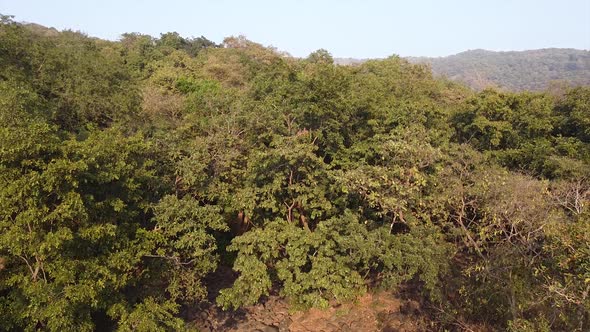 Aerial view of a green mountains covered with big trees and plants, Drone shot of  mountains reveali