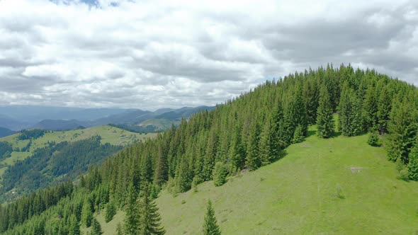 Aerial Drone View of a Lush Mountain Forest.